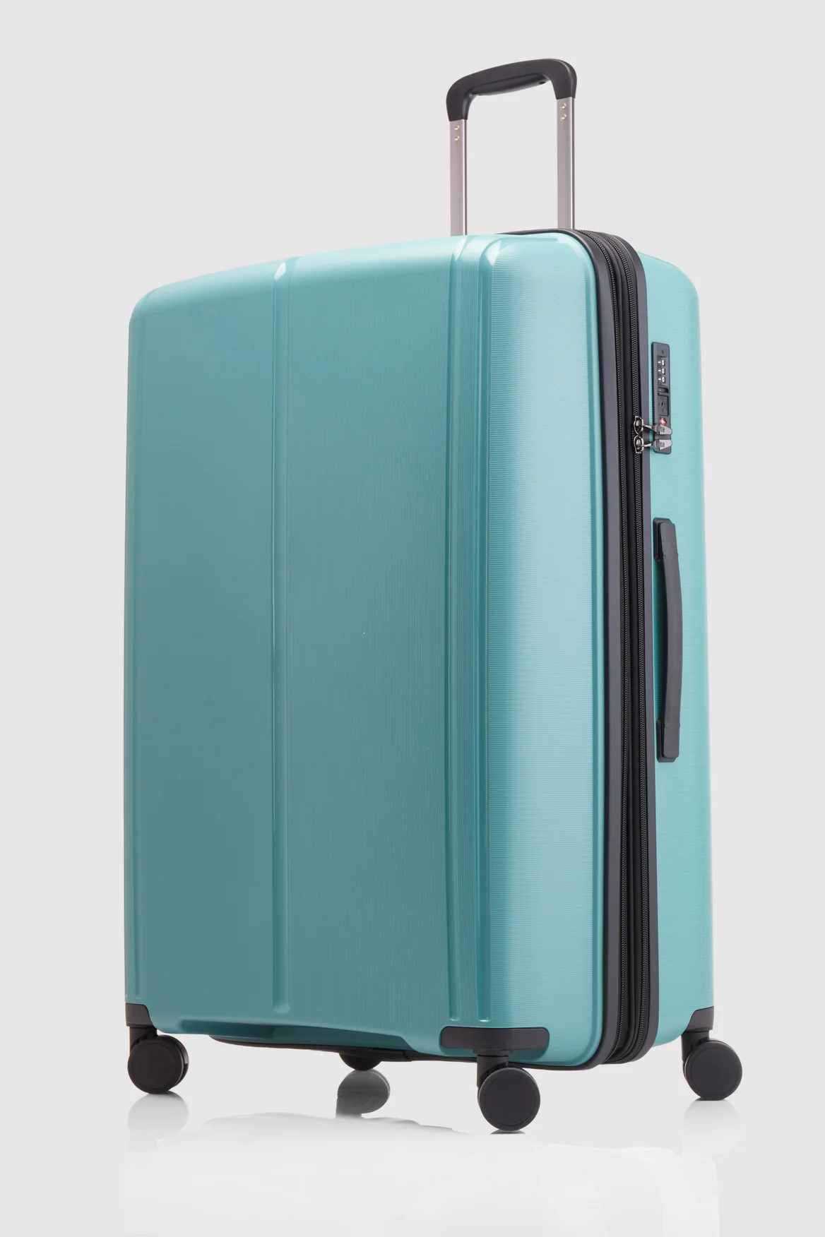 Birch Check-In 75cm Suitcase