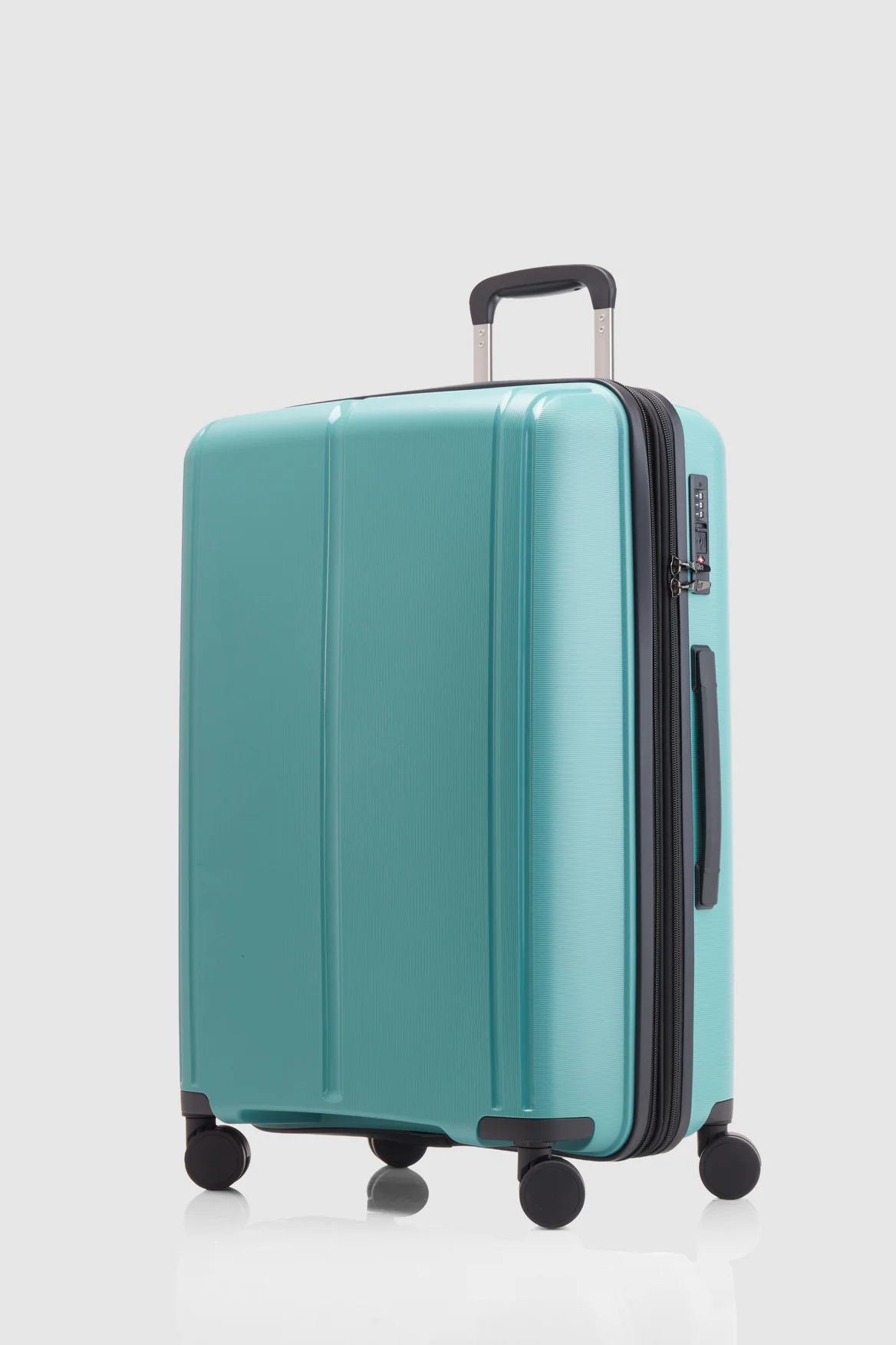 Birch  Check-In 65cm Suitcase