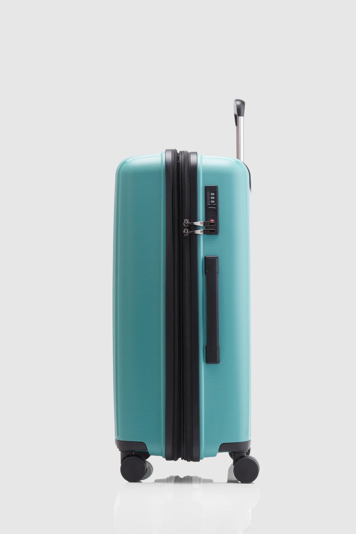 Birch Check-In 65cm Suitcase