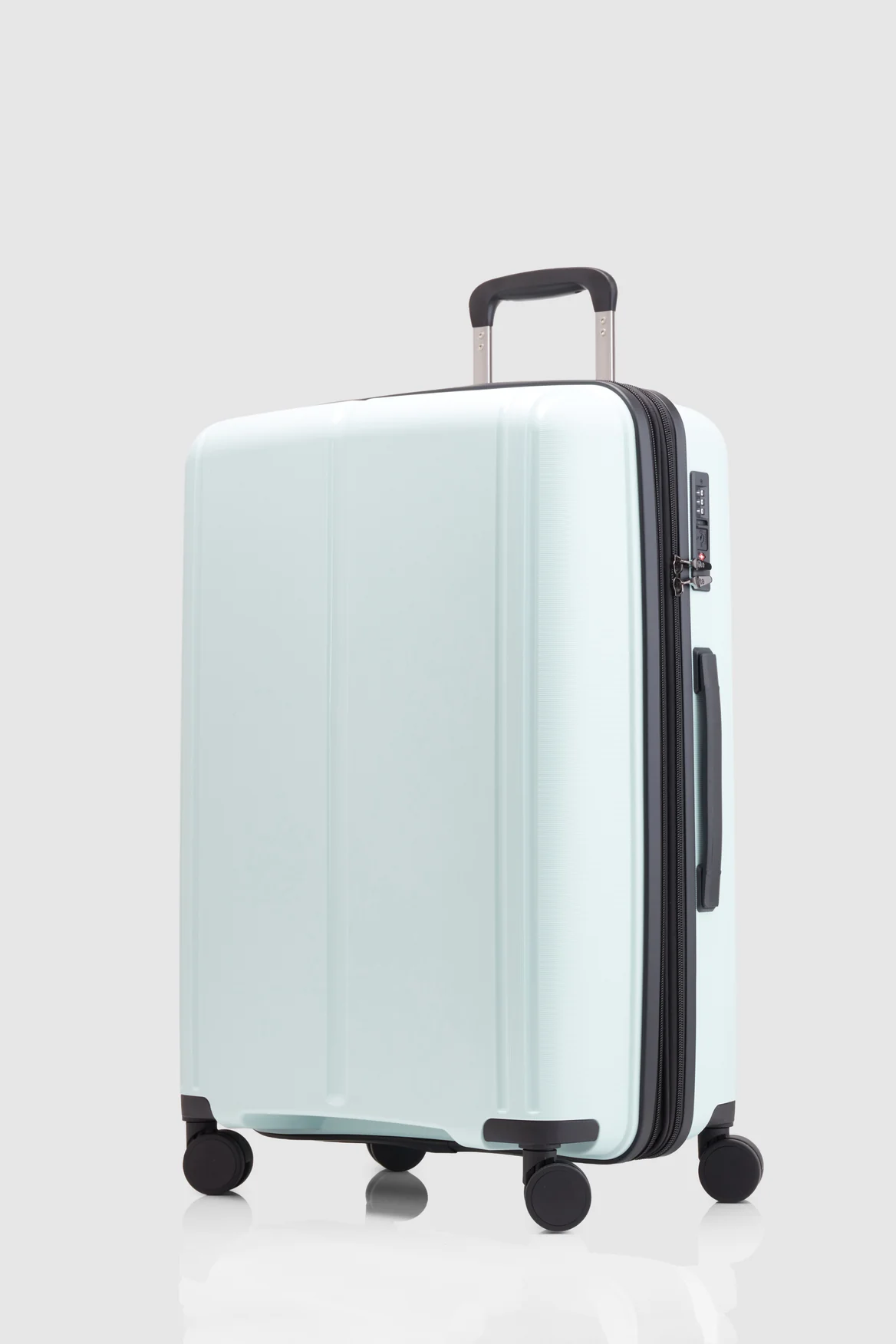 Birch  Check-In 65cm Suitcase