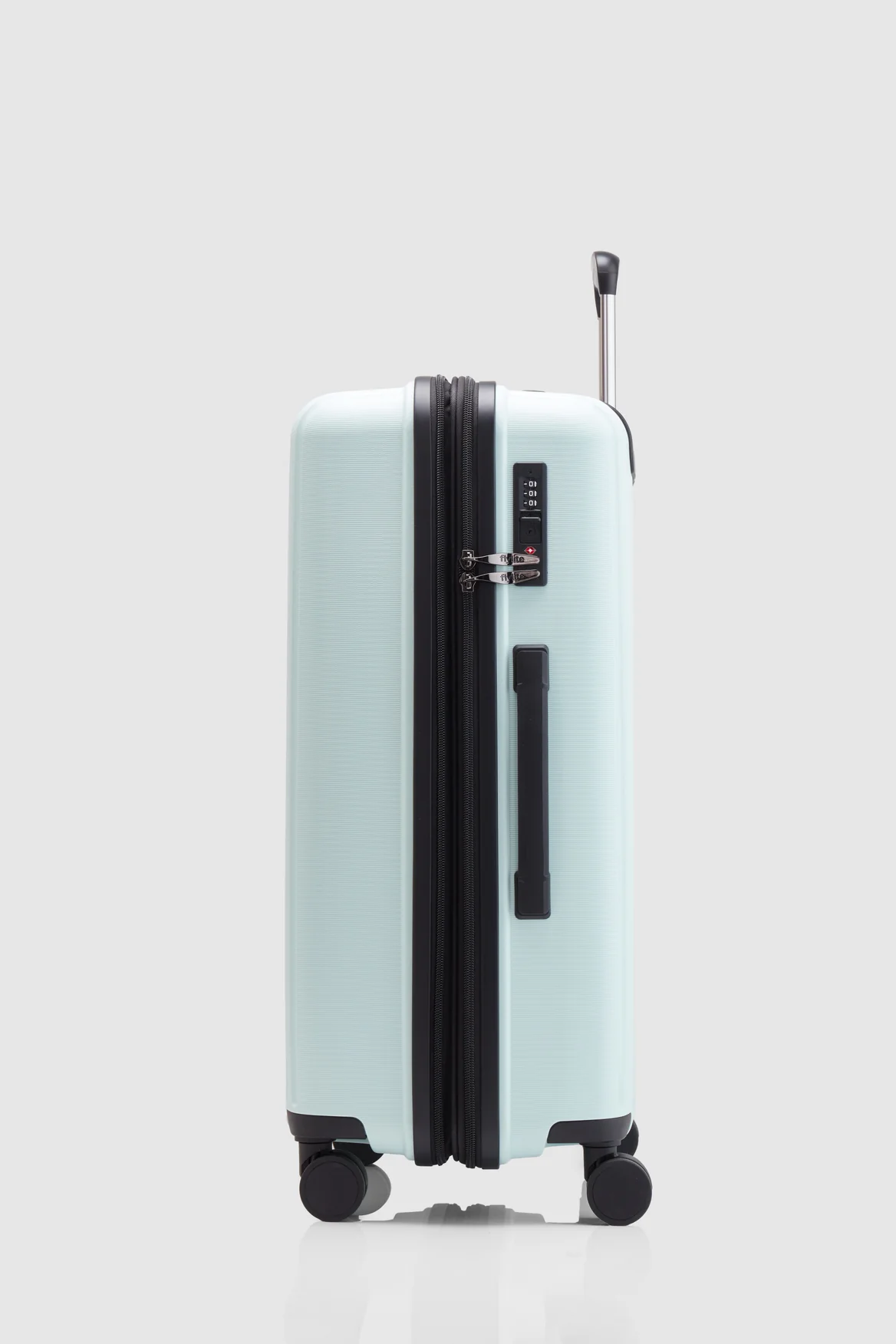 Birch Check-In 65cm Suitcase
