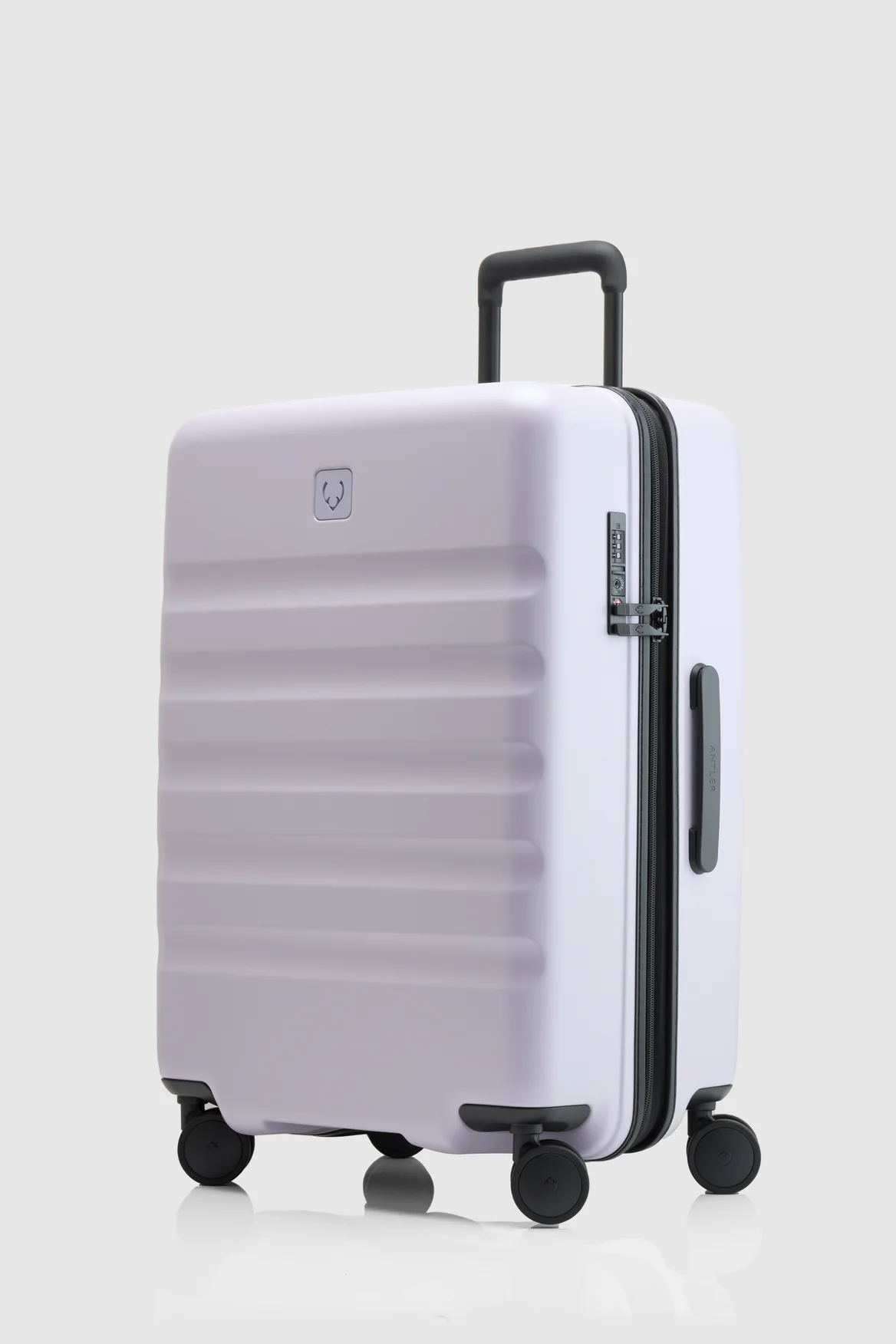 Icon Stripe 66cm Suitcase