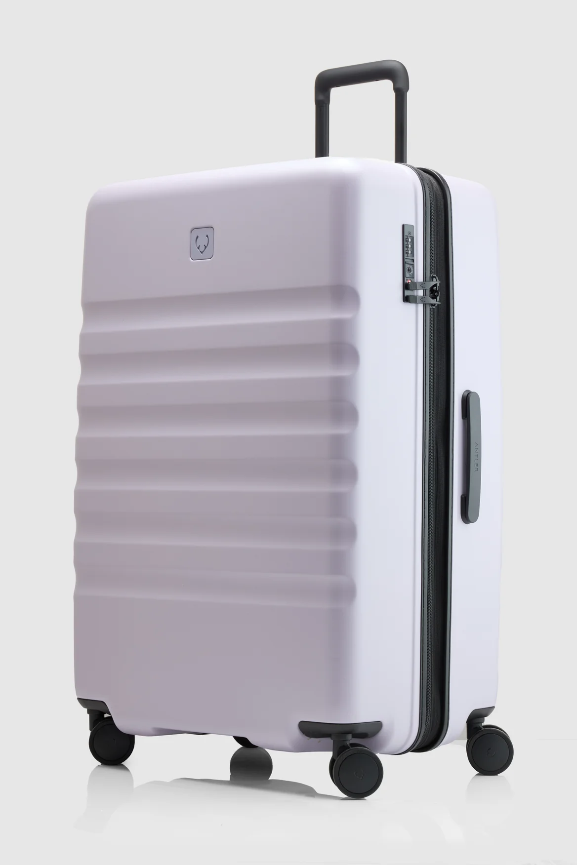 Icon Stripe 78cm Suitcase