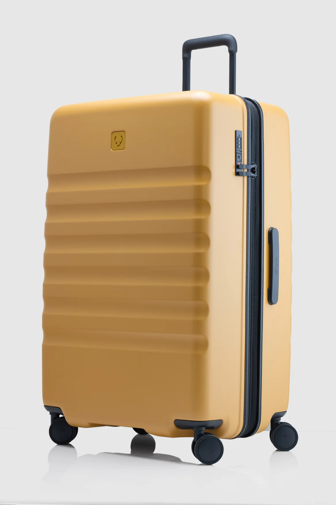 Icon Stripe 78cm Suitcase